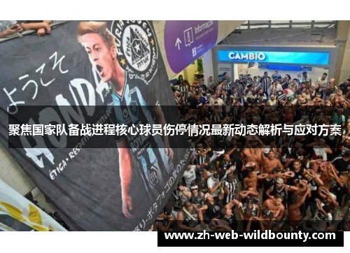 聚焦国家队备战进程核心球员伤停情况最新动态解析与应对方案
