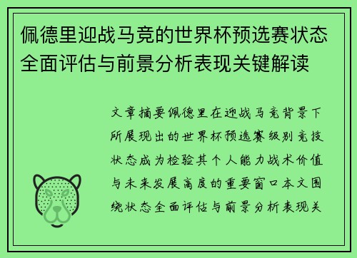 佩德里迎战马竞的世界杯预选赛状态全面评估与前景分析表现关键解读