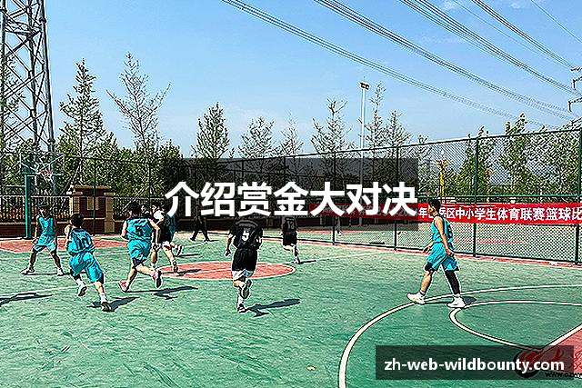 介绍赏金大对决